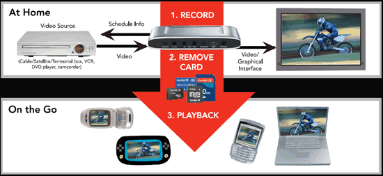 ������������� ����������� Sandisk V-Mate