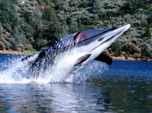 ����������� ������� (Bionic Dolphin)