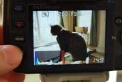 Olympus E-420 Live Preview Color Meter
