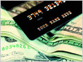 PayPal: ������� � �������������?