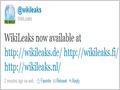 EveryDNS повторно удалила домен Wikileaks 