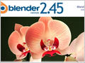 Blender 2.45:  3D-