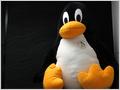 Linux 3.0 скоро будет с нами 