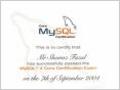 Представления (VIEW) в MySQL
