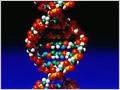 «Ошибки в ДНК» или как неправильный дизайн может приводить к миллионным убыткам
