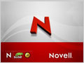 Корпоративная сеть на базе Novell