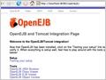 Что нового в OpenEJB 3.0