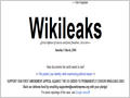 В Китае появится собственный Wikileaks 